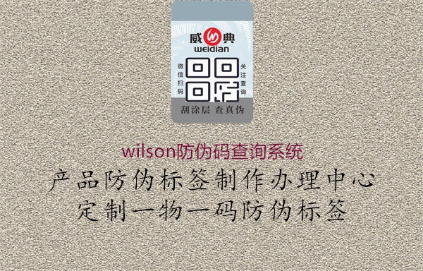 wilson防伪码查询系统(图1) wilson防伪码查询系统1.jpg